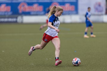 Bild 74 - wBJ Hamburger SV - FC Suederelbe : Ergebnis: 9:0